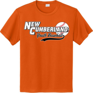 2026 Spring T-Ball Dragons Replica Jersey